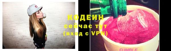 крисы Бугульма