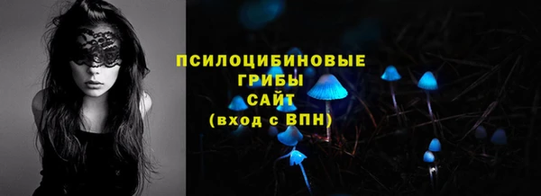 крисы Бугульма