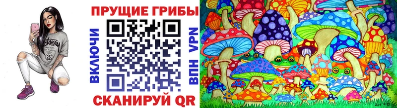 Купить где  Салаир  Псилоцибиновые грибы прущие грибы 
